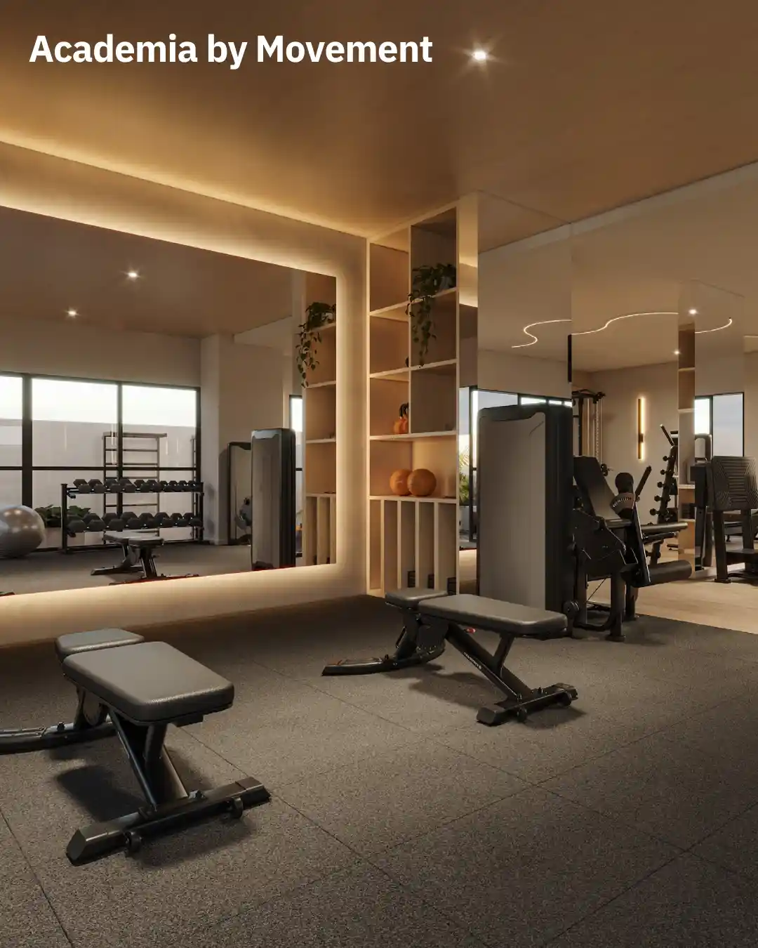 Academia by Movement - Musculação